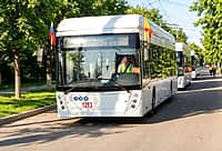 С 1 июня троллейбусы будут останавливаться в Новом городе.